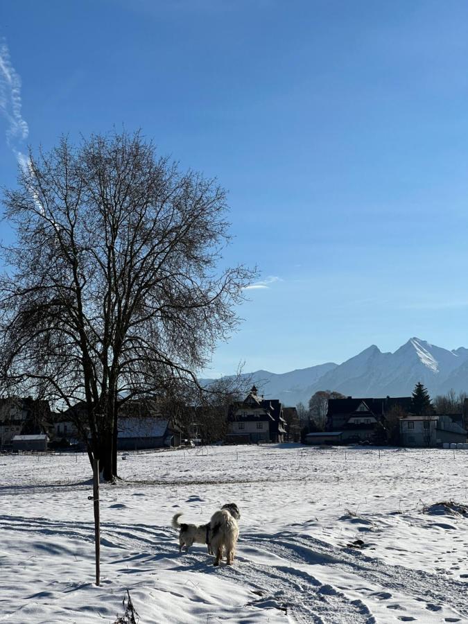 Pokoje U Danusi Czarna Gora Exterior photo